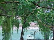 Eladó Lakóövezeti telek, Siófok, Fokihegy, Vak Bottyán utca, 901nm