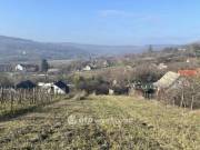 Eladó Telek, Szekszárd