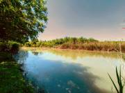 Mezőberény Boldisháton vízparti telek eladó!