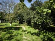Eladó 4366 m2-es Zártkert Alsópáhok