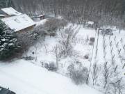 Eladó 15 m2-es Kert, gyümölcsös Kaposvár, , Orgonás