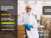 1 műszakos csomagoló álláslehetőség!