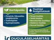 Fűnyírás,terasztisztítás