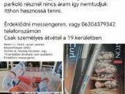 Kisállat ketrec, hajkiegyenesítő, hamuporszivó
