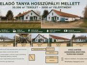 Eladó tanya Hosszúpályiban