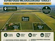 Eladó 10 hektár terület Debrecen-Dombos mellett
