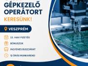 SMT gépkezelő operátor - Veszprém